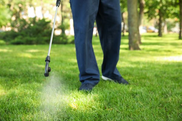 Sevierville Lawn Treatment